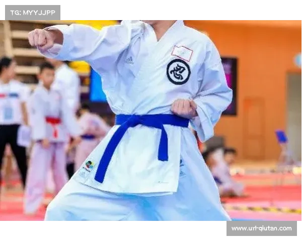 空手道赛事组织中可持续发展理念的实践与创新探索